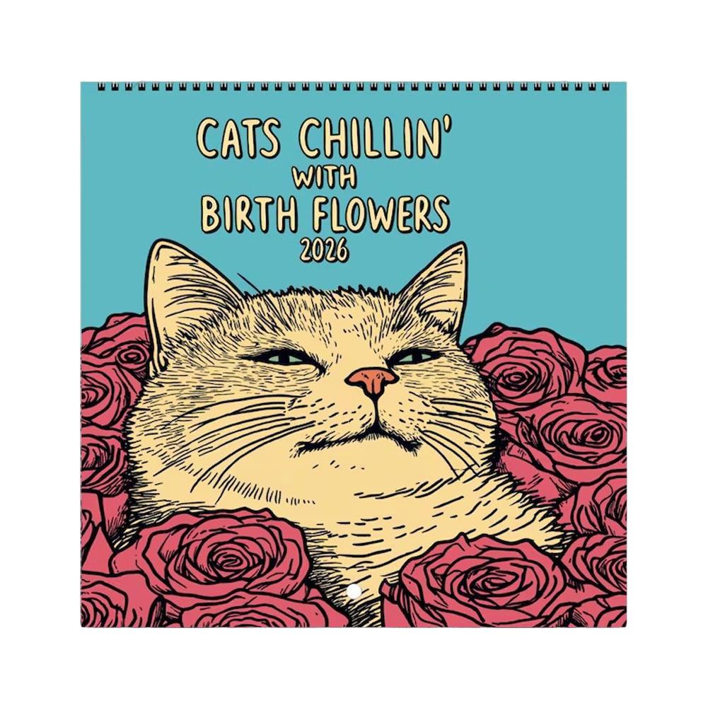 2026 Medieval Cat Mindful Magic Wall Calendar 12 Months Daily Weekly Monthly Agenda Schedule Organizer Planner Home Office Decor