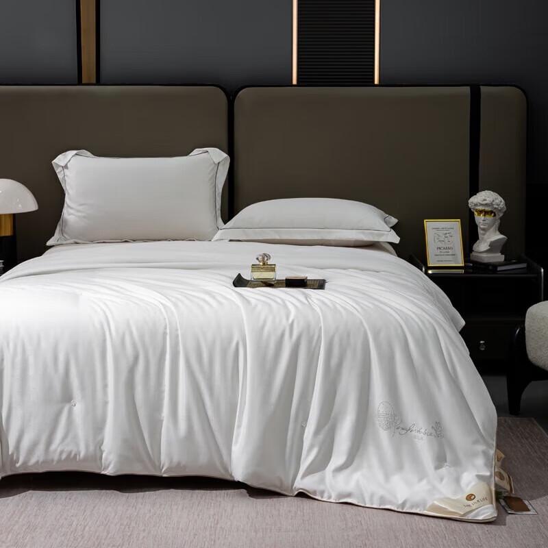 Jie Li Ya Mulberry Silk Summer Quilt