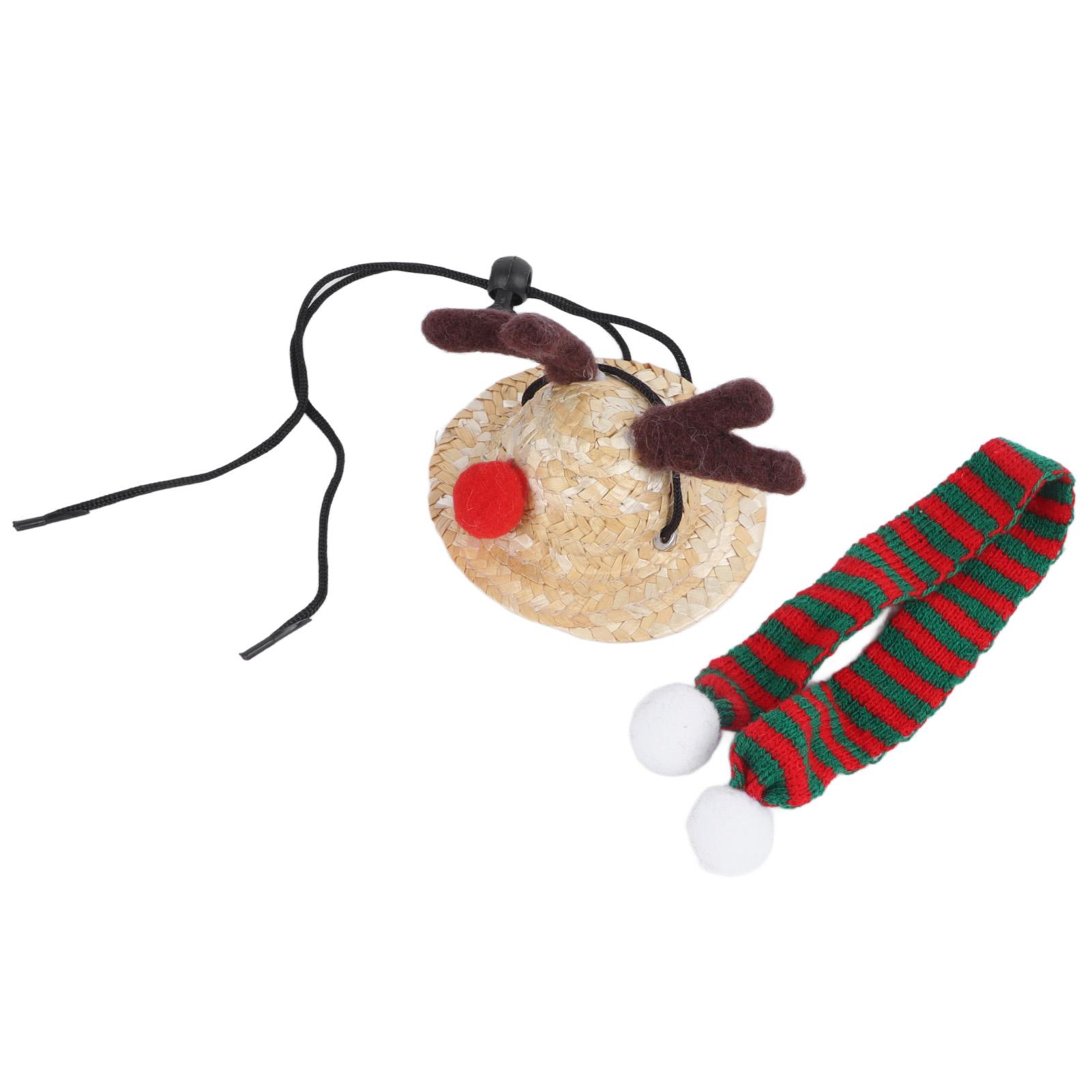 Bearded Dragon Santa Hat Cute Soft Scarf   Size Bright Colors   Santa Hat with Scarf