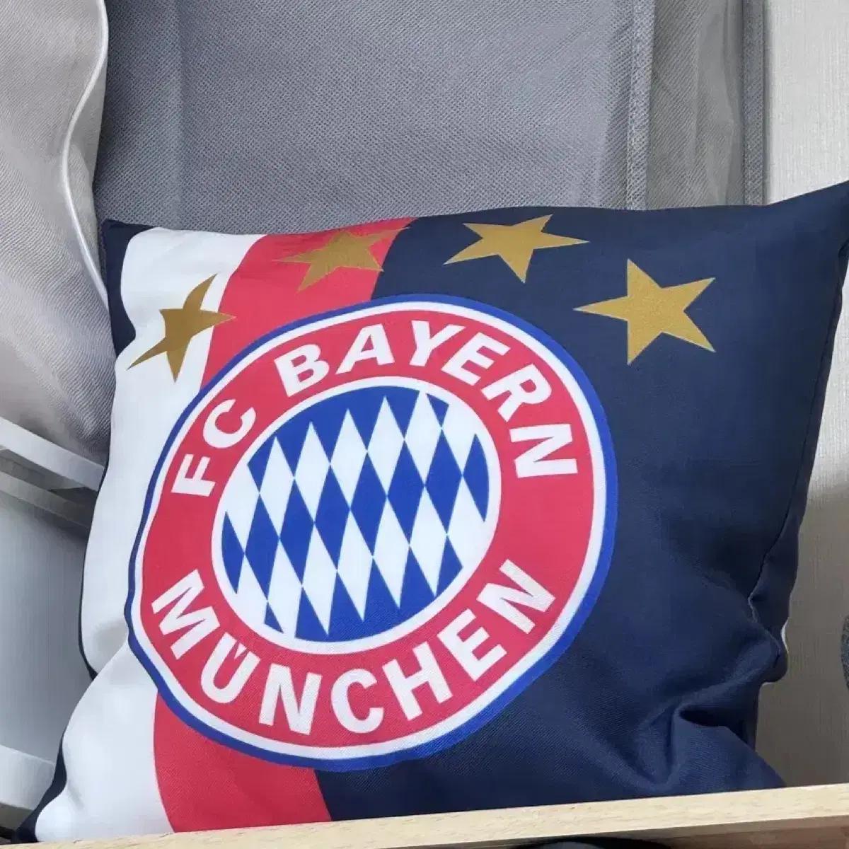 

Bayern Munich Cushion