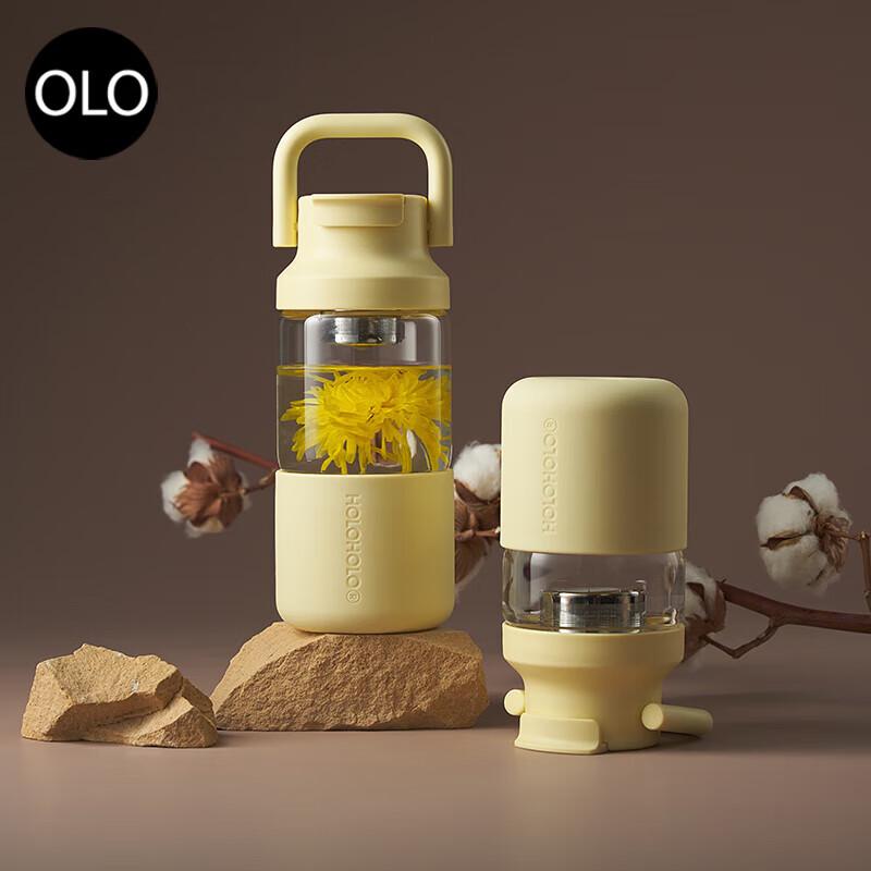 HOLOHOLO Portable Tea Infuser Glass Cup 450ml