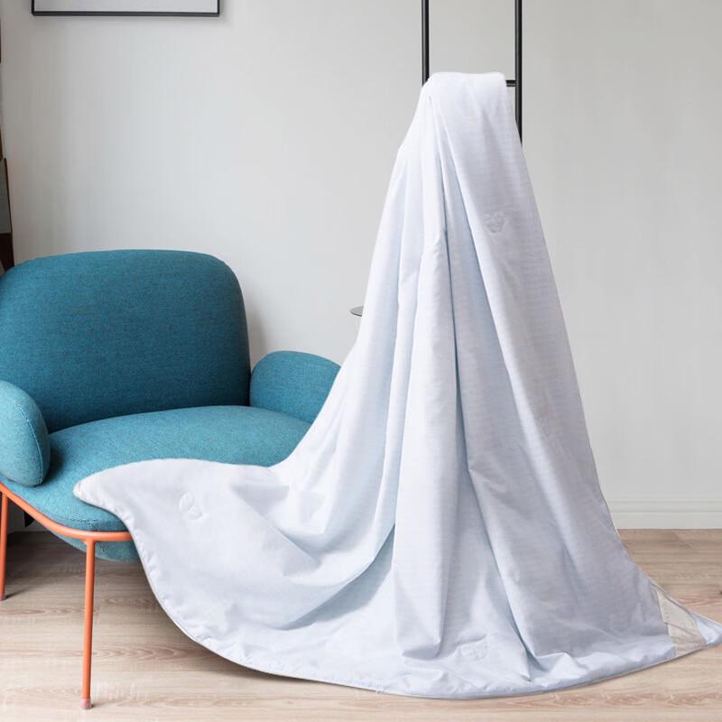 

Mercury Home Textiles Xindela Silk Quilt