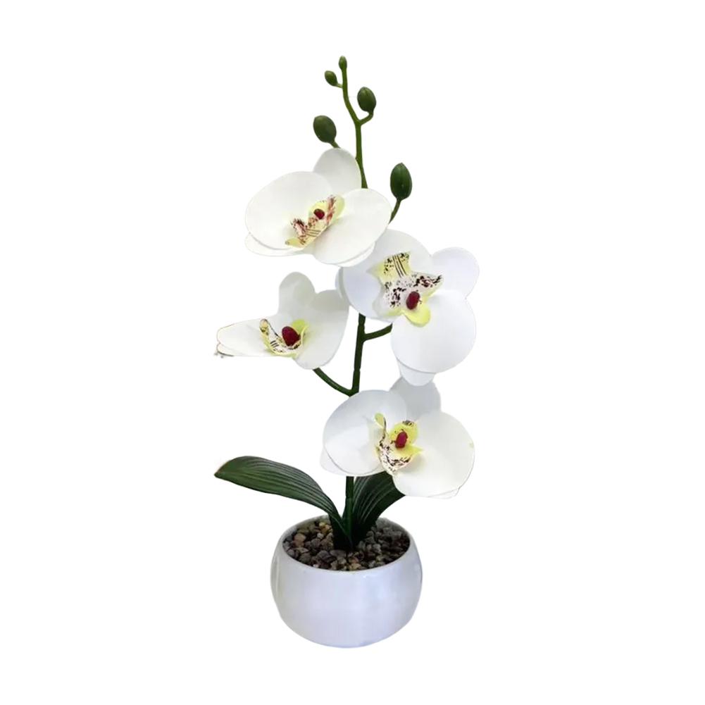 

3D Printed Decorative Plant Phalaenopsis Flower Pot Decoration Centerpiece White