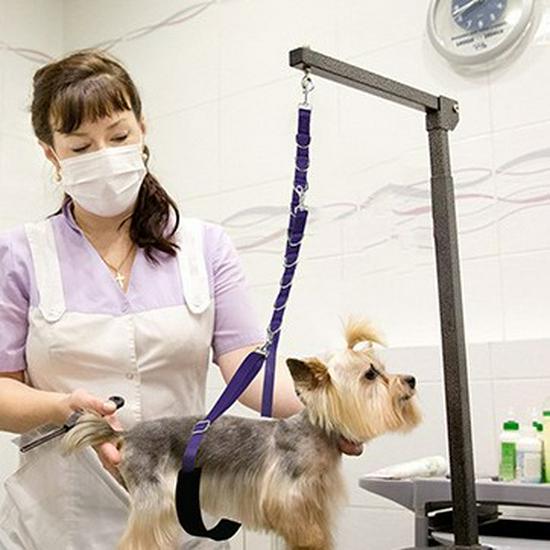 Dog Grooming Hanging Strap for Bathing and Grooming Table