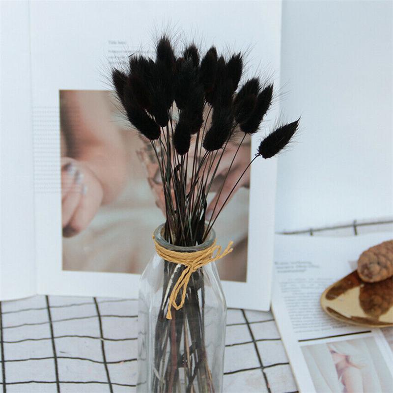 20PC Dried Flower Bunny Tail Grass Bunch Real Bouquet For Photography Props Flores Diy Home Wedding Decor