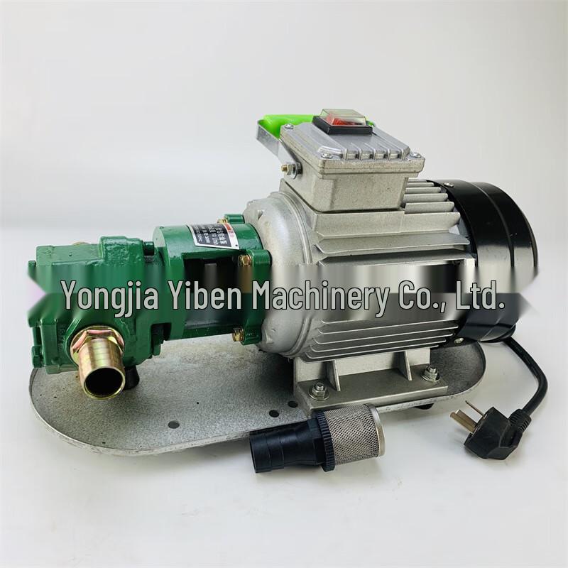 TLXT WCB Series Gear Oil Transfer Pump CN plug (adapter included)