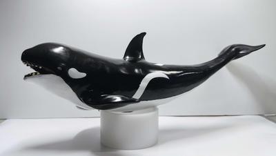Aotomo Marine Life Figure Vinyl Model Killer Whale FK Big Size Soft Vinyl Marine Sea Creatures