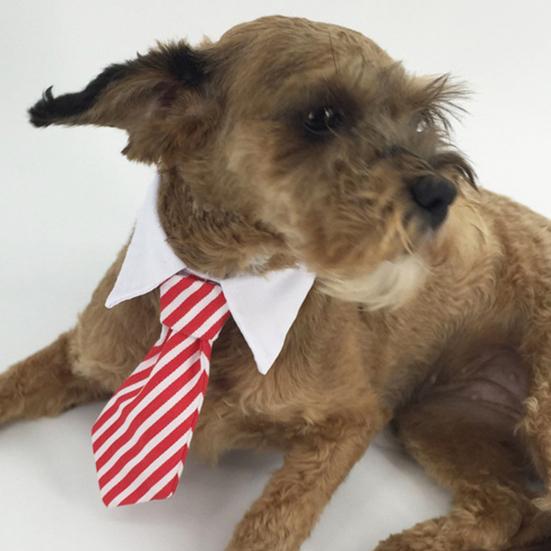 Guler de ajustare cu dungi, cravată papion pentru câine, cățeluș, petrecere, nuntă, îngrijire