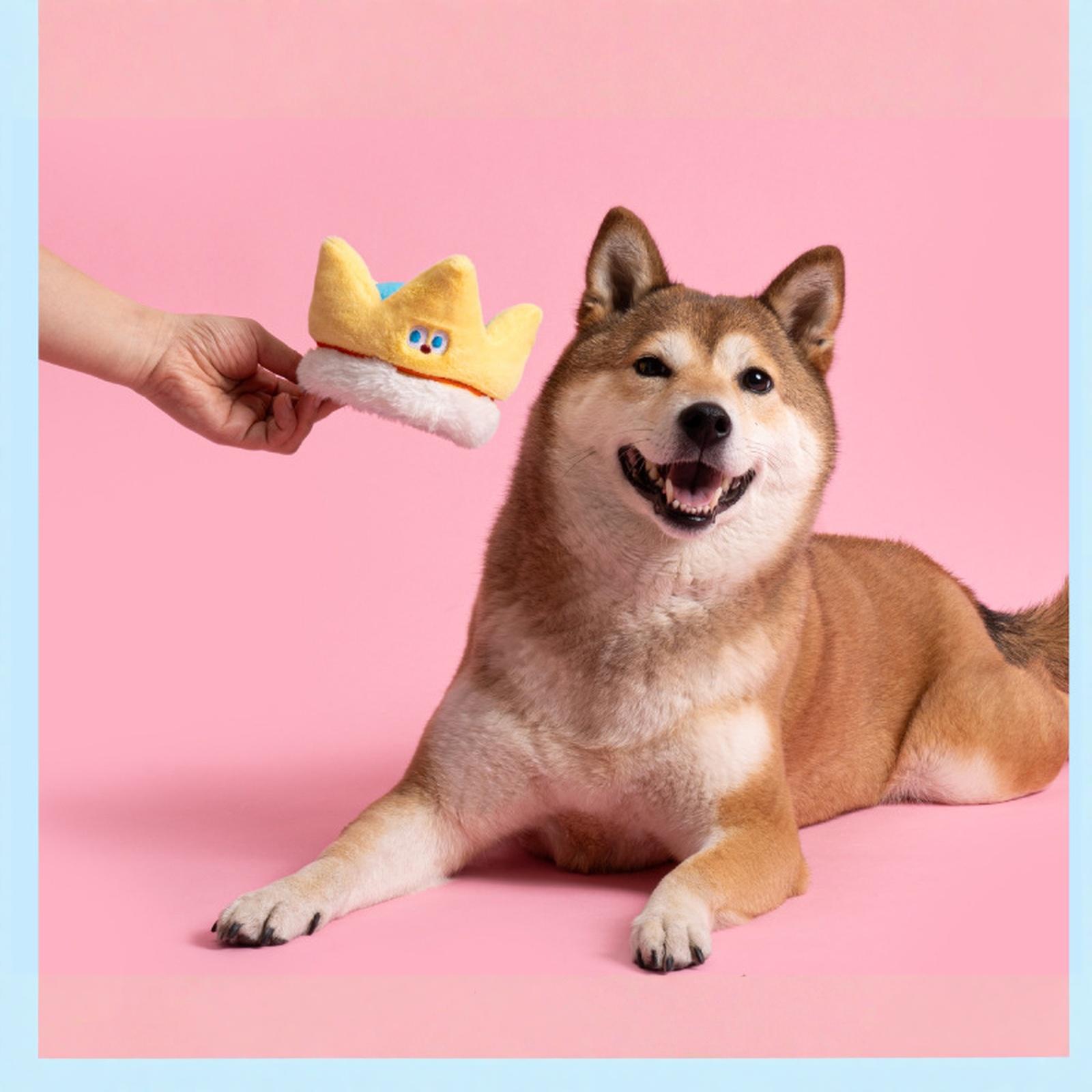 

Crinkle Paper Little Dragon Dog Toy Squeaky Chew Teeth Cleaning Toy for Puppies one size