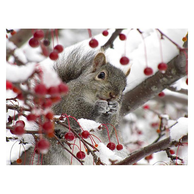 5D DIY Diamant Malerei Holz Eichhörnchen Diamant Mosaik Diamant Stickerei Volle Set Kreuz Stich Kits Home Decor Geschenke