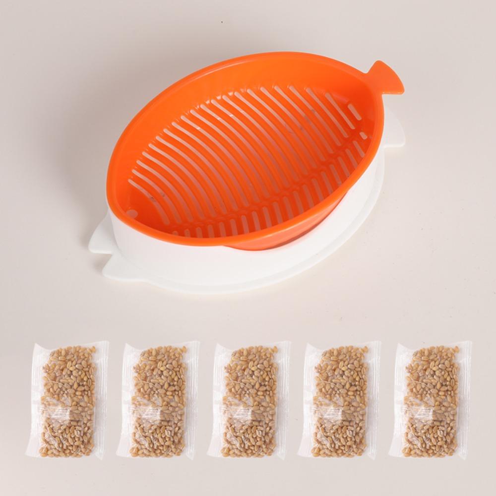 

Поддон для проращивания семян Беспочвенная рассада Площадка для проращивания травы для кошек Гидропонные горшки для растений Подставка для проращивания кошачьих ростков Горшок для выращивания Садовые принадлежности