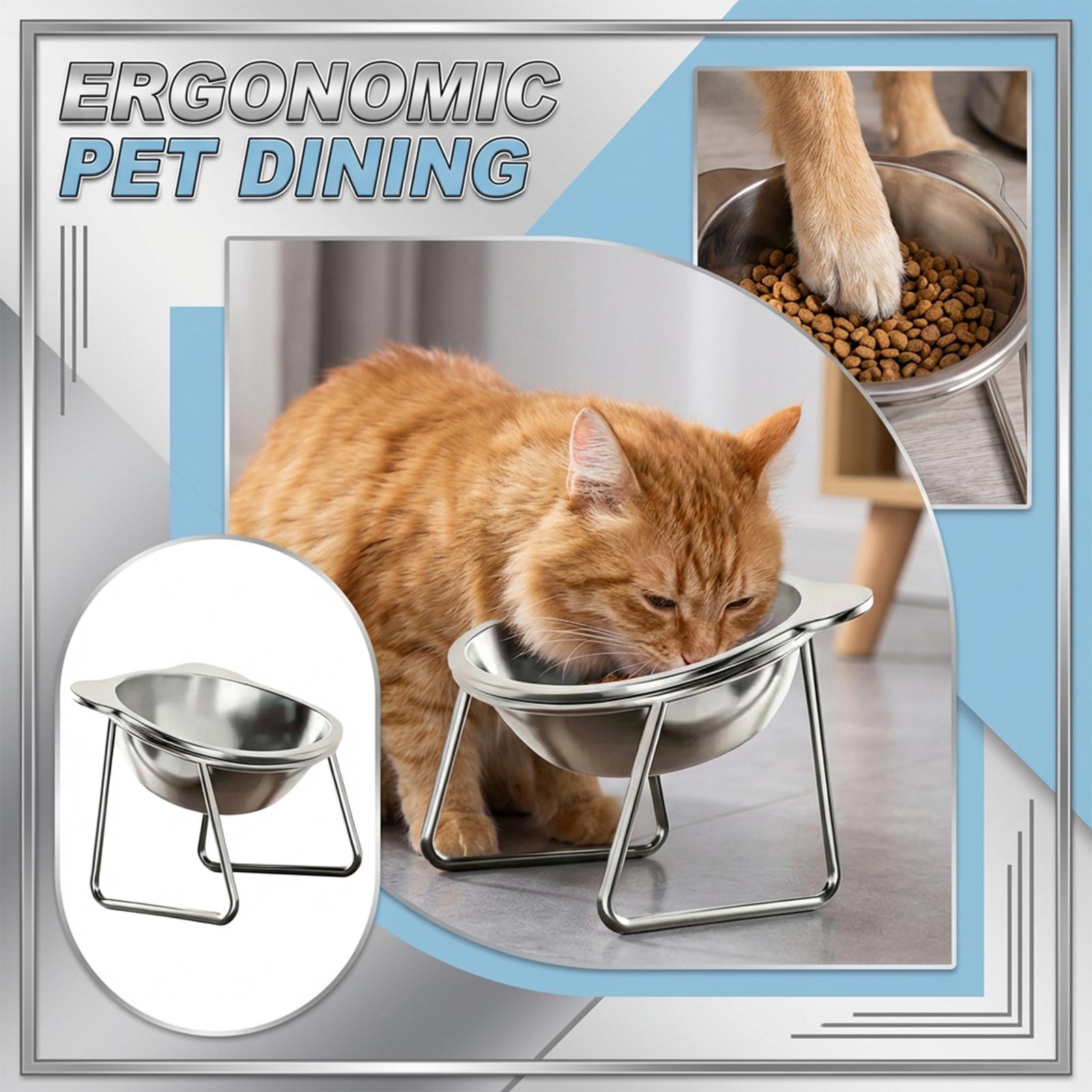

304 Stainless Steel Elevated Pet Bowl With Stand, Tilted Design For Neck , Detachable For Easy Cleaning, Food & Water Feeder For Cats And Dogs One Size