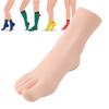 Weibliches rechtes Fußmodell Simuliertes Fußmodell Realistisches Fußmodell für Fußmassage Socken Schuhe Display