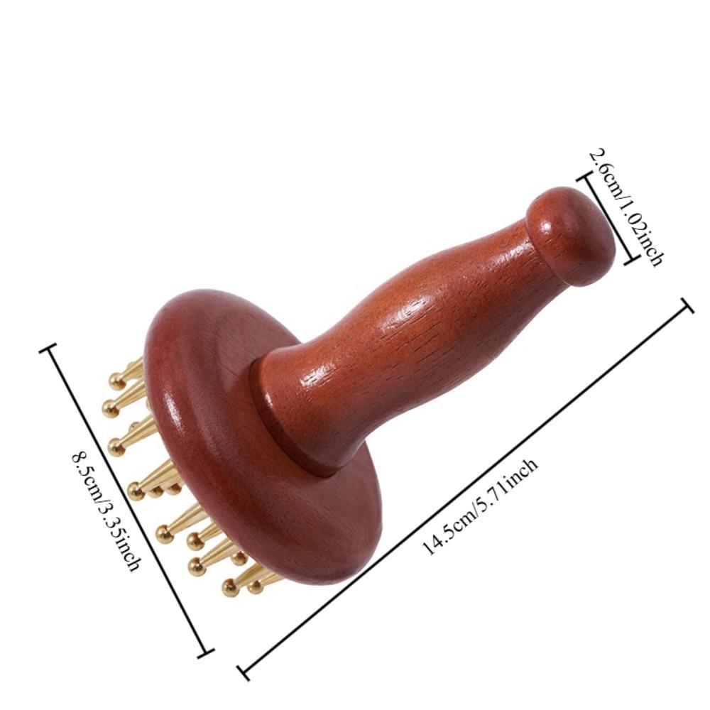 1pc 29 Tooth Body Care Brush Meridian Massage Tool For Daily Body Relaxation Care