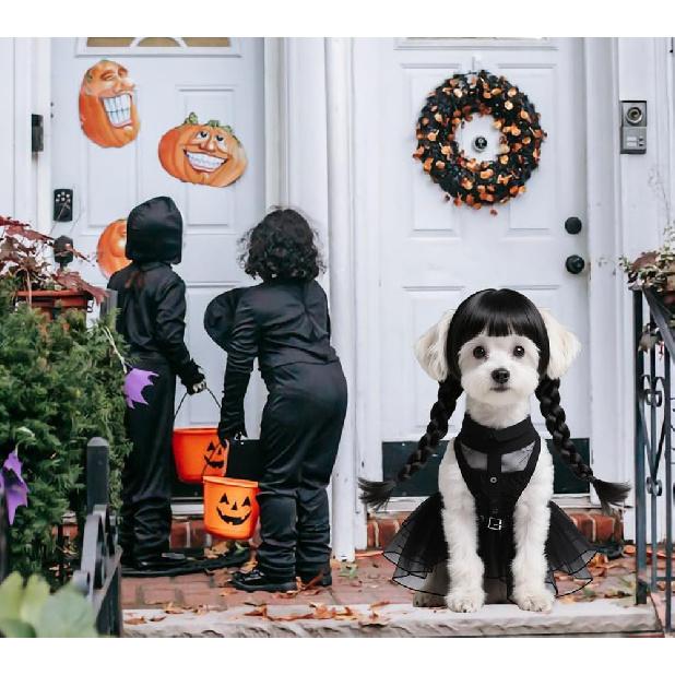 3pcs Dog Clothes for Small Dogs Puppy Costumes with Wig and Belt Black Pet Dog Dress Outfit for Dogs Cats Cosplay Halloween Birthday Party AN002S