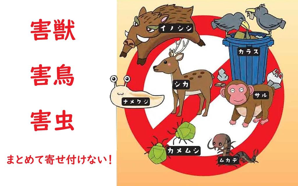 Starfish Roman Pest Repellent 2 Special Nets for Easy (500g) [Includes Portioning]