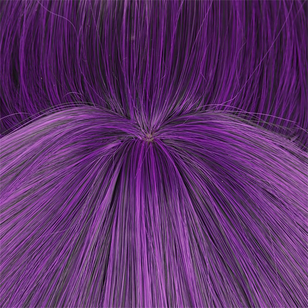 Sizuuenn Fern Wig from Funeral of Cosplay Wig with Perfect for School Cultural and Photo Shoots Freiren, Heat-Resistant, Net, Events, Festivals,