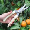 Stainless Steel Pruning Shears for Fruit, Flowers, and Branches - Ideal Gardening Grafting Tool