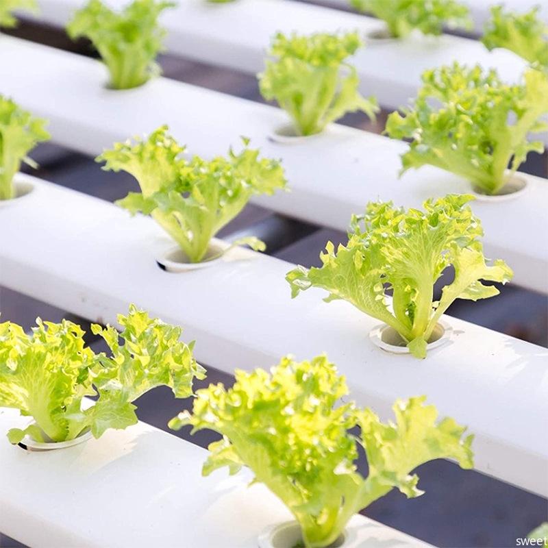 20/50Pc Soilless Seed Grow Nursery Pot Root Starter Hydroponic Soils Seedling Tray Pods Kit Agricultural Growing System Supplies Set