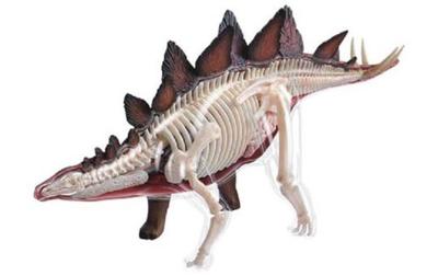 Aoshima Bunka Kyozai Skynet 3D Puzzle 4D VISION Animal Anatomy 25 Stegosaurus Anatomical Model No.