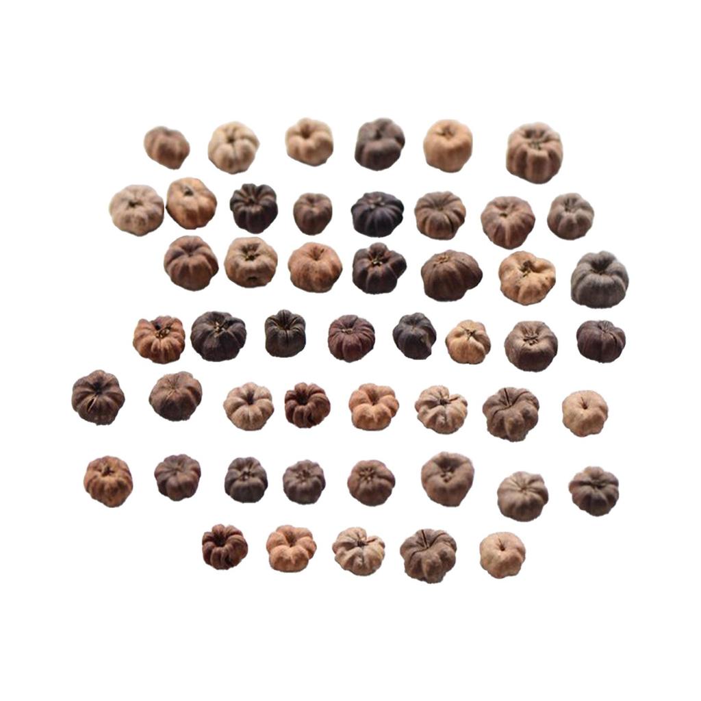 50x Mini Dynie Dekoracja do Rękodzieła Ozdoby Wypełniacz do Wazonów Mini Dynie na Święto Dziękczynienia Ślub Wianek Potpourri DIY Dom