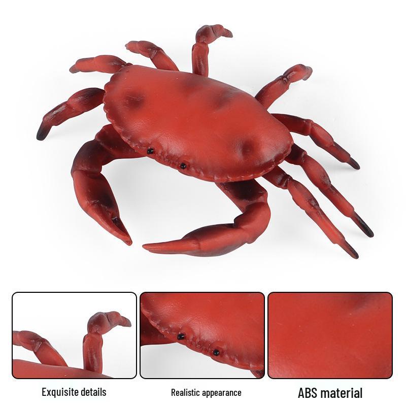 Children's Solid Ocean Crab Model Toy Ornament