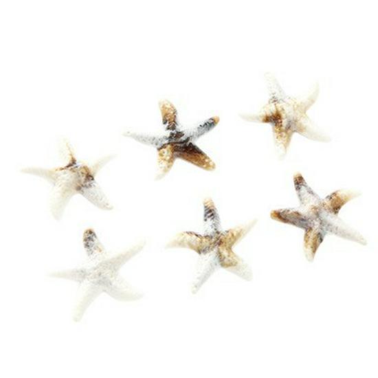 Acrylic Starfish Seashell Conch Pendant for DIY Crafting