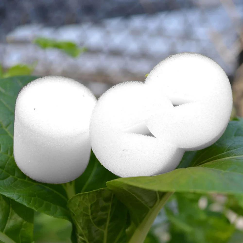 

50PCS Plant Net Cup And 50PCS Cylinders Sponge For Hydroponic Plant Starting Garden Planting Supplies 35*35mm Plastic Net Cups China Mainland