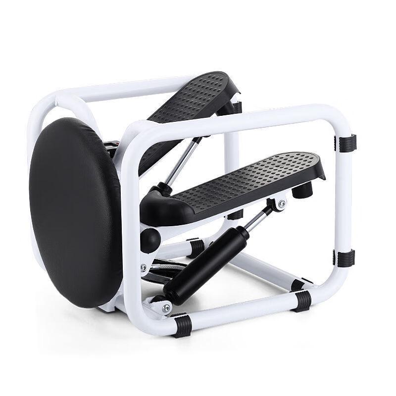 Multifunctional Stepper with Twist Plate