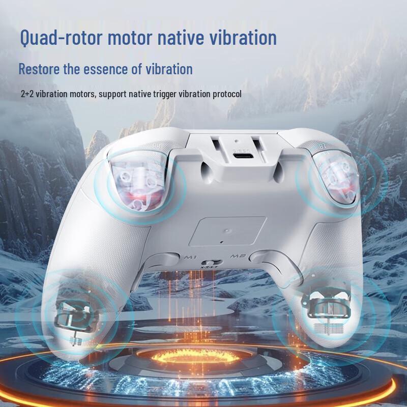 ThundeRobot G50 Ultra Wireless Game Controller