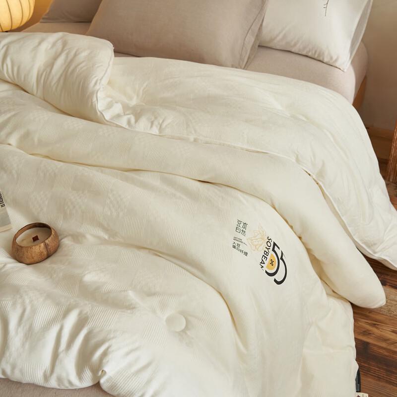 LISM Washed Cotton Soybean Fiber 2-in-1 Winter Duvet Set