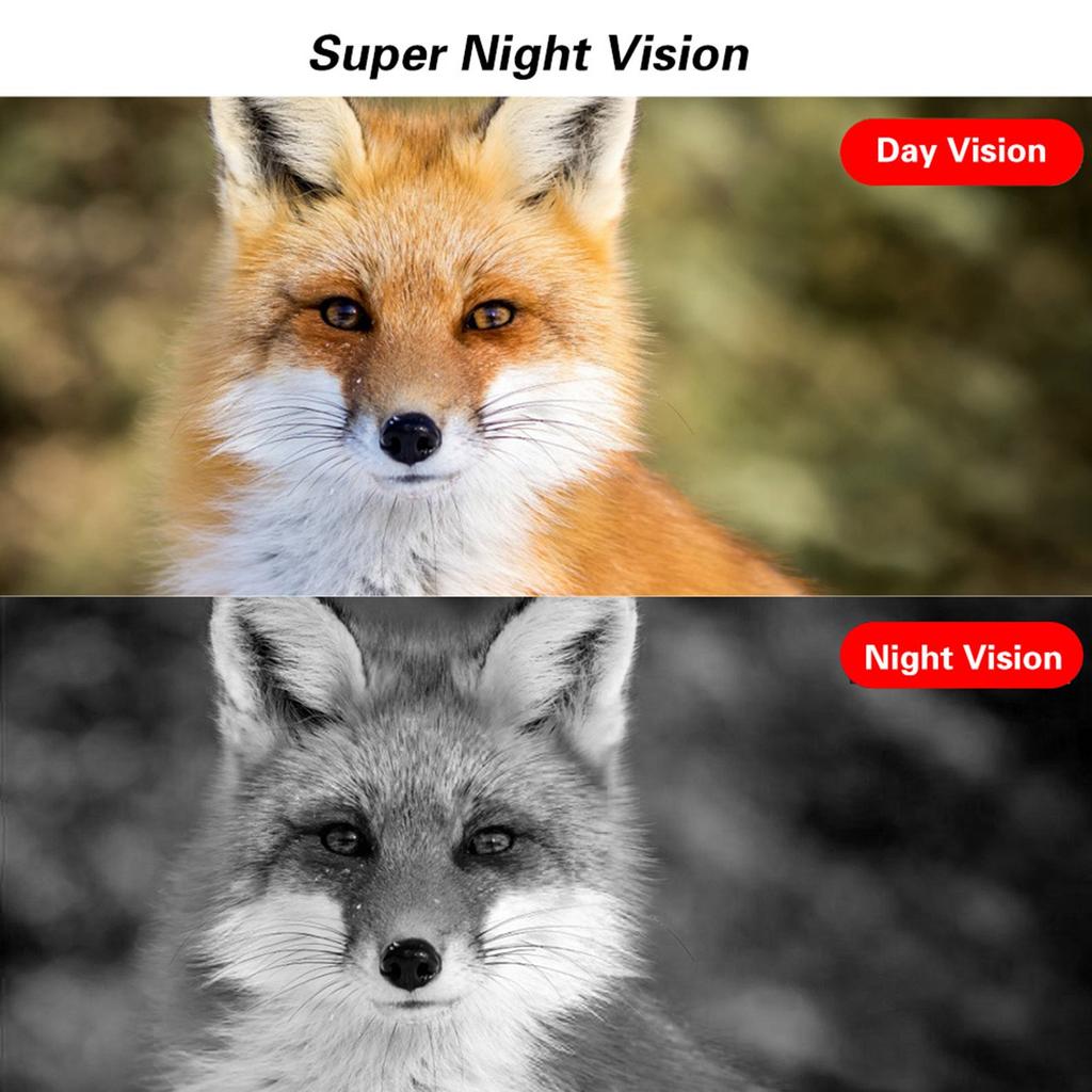 Outdoor 2inch TFT Display Screen High Definition Hunting Camera 8 Million Pixels Night Vision Wildlife Scouting