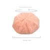 Fashionable Beret Soft and Skin Friendly Warm Hat Leisure Plush Hat  Summer