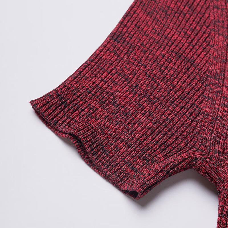 Anlom Women's Summer Ice Silk Short Sleeve Knit Top