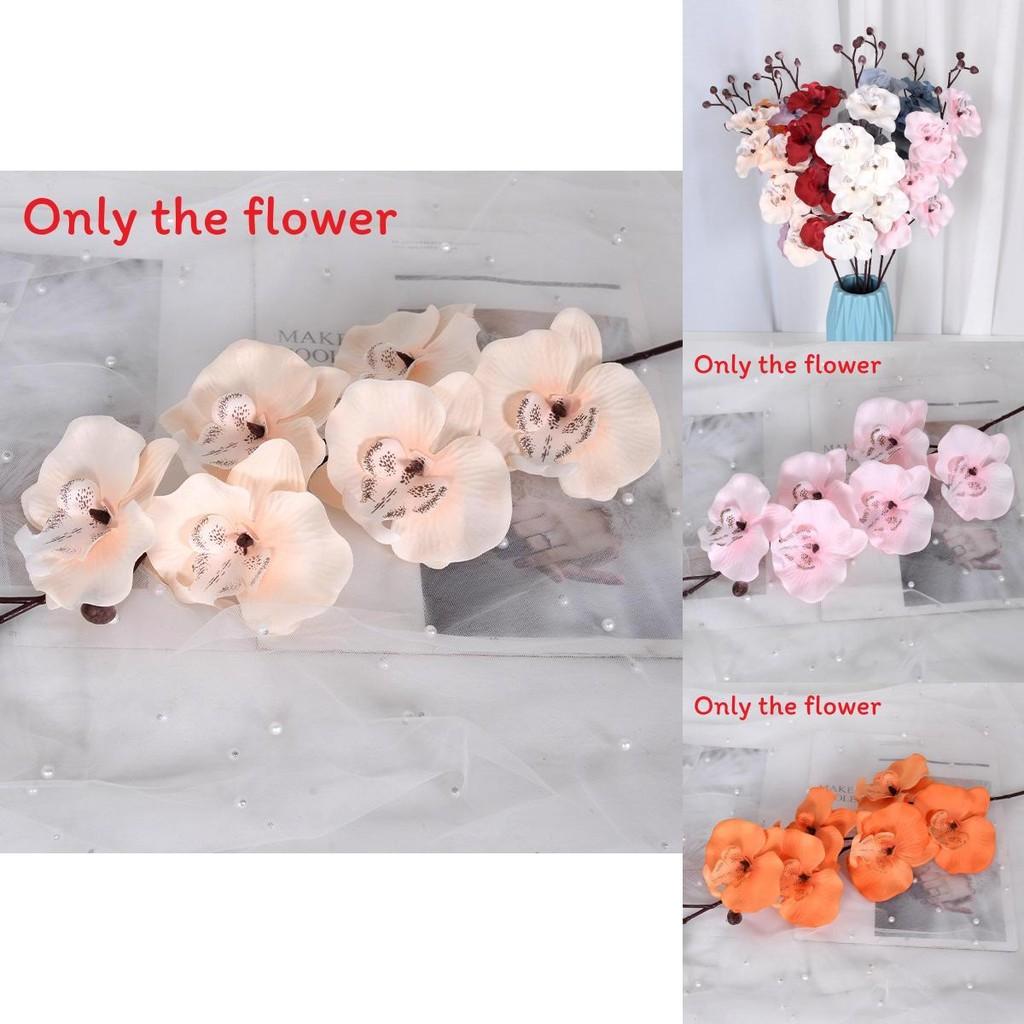 Artificial Phalaenopsis Aphrodite Wedding Path Flowers With Silk Material For Event And Home Decor