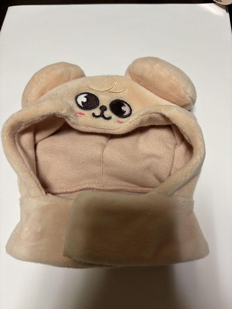 [USED] Stray Kids PuppyM Seungmin Penlight Cover Ver.1