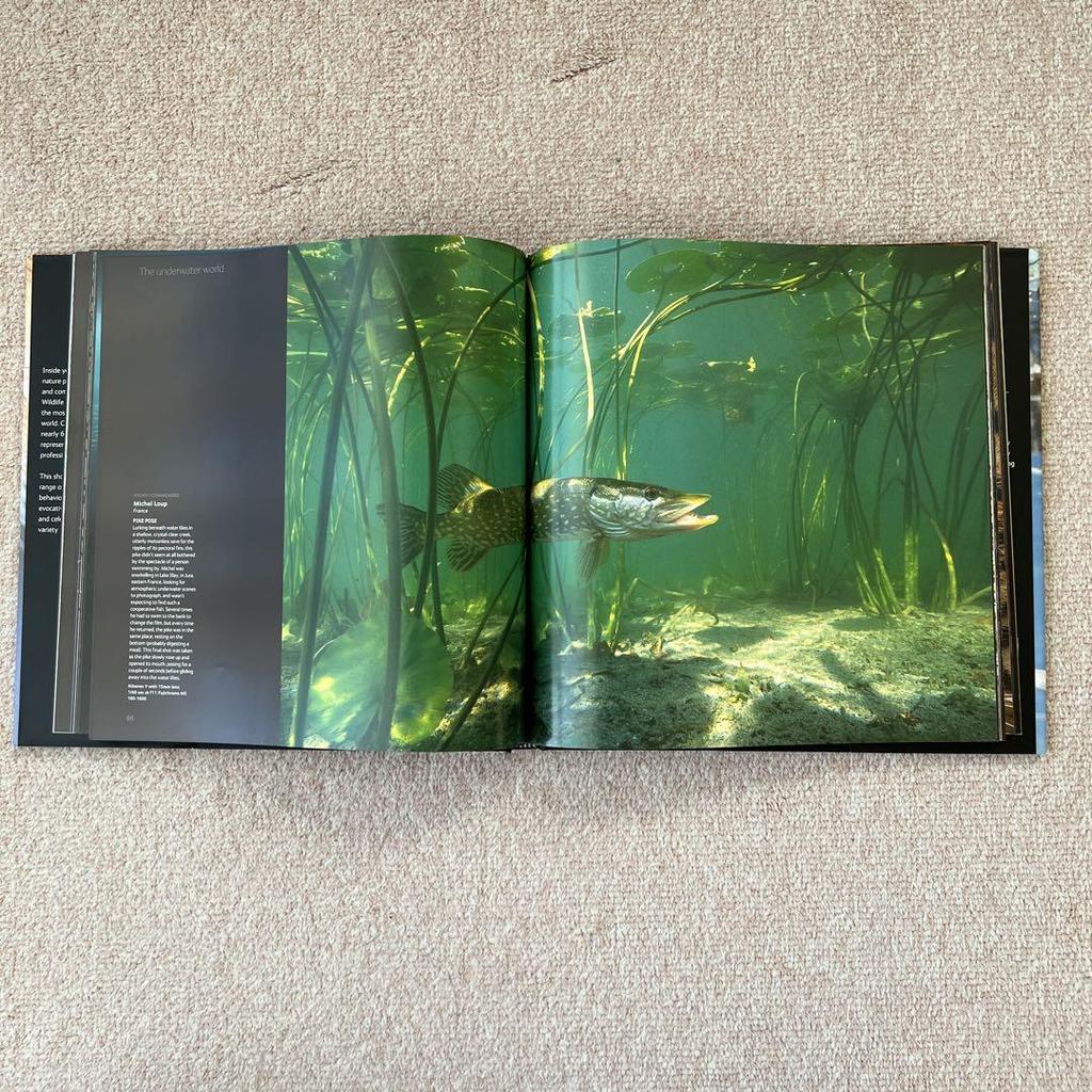 [USED] Foreign Books: Wildlife Photographer of the Year