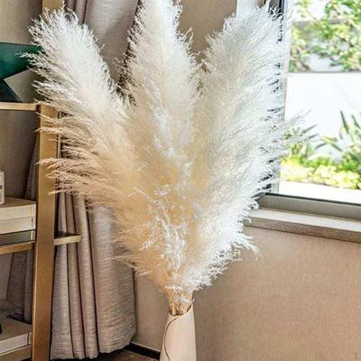 Dried Pampas Grass Boho Bouquet for Garden Vase Flower Arrangement