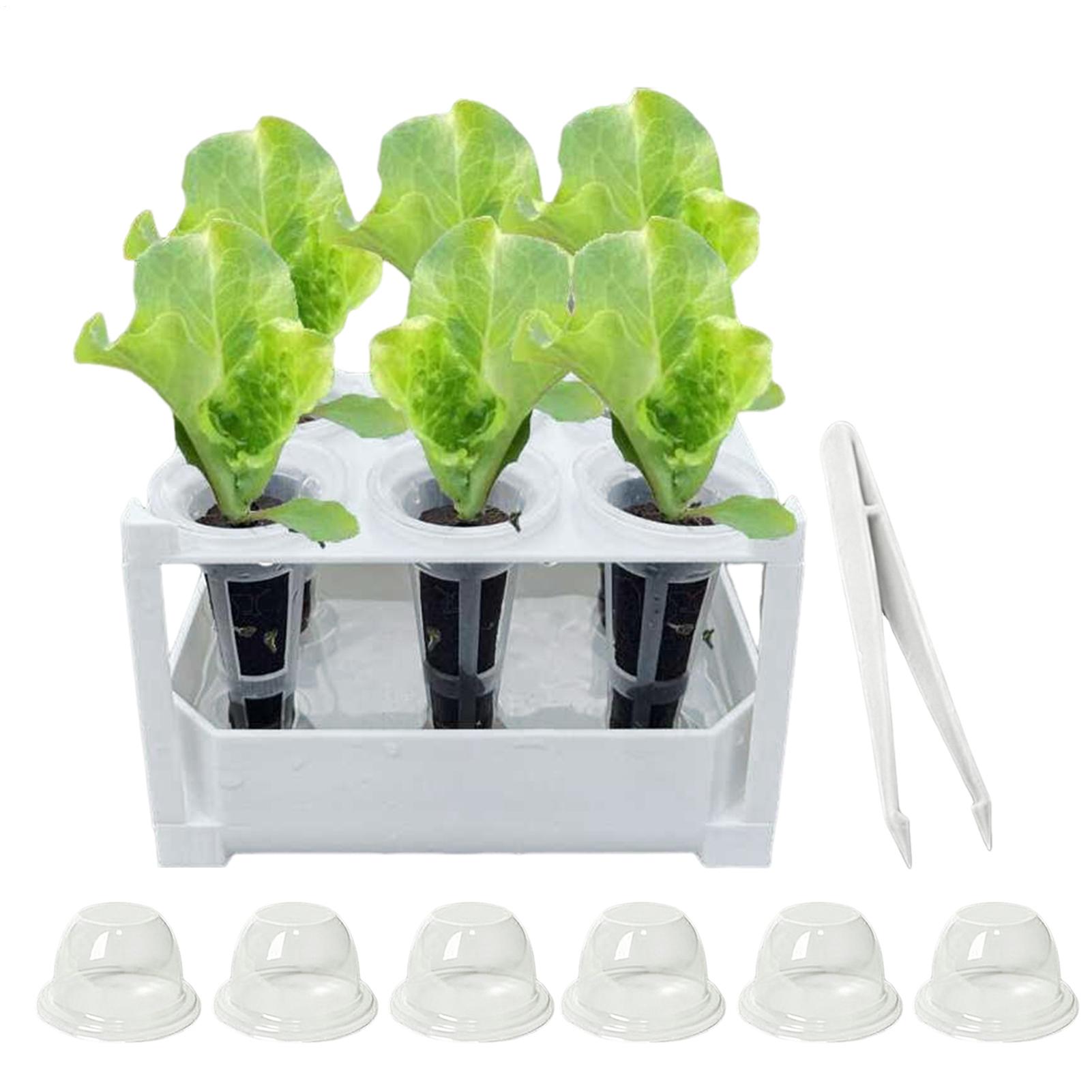 

21 шт. Гидропонные горшки для рассады Съемные Экономичные по месту Видимые Нескользящие Гидропонная система Садовые лотки для выращивания для полива China Mainland