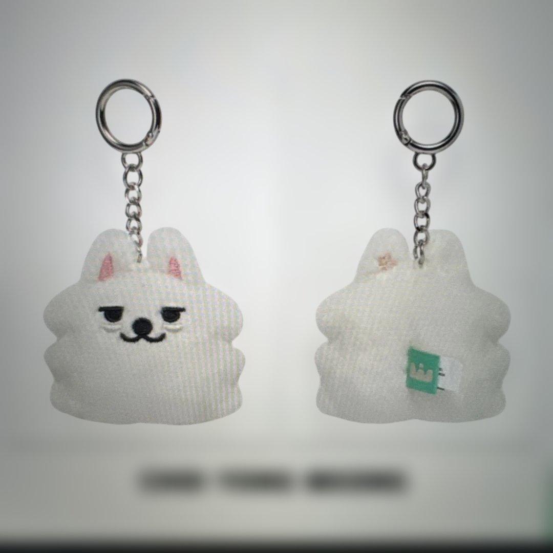 

[USED] PPULBATU Choi Yong Meong Keychain
