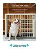 Portable Plastic Pet Carrier for Small/Medium Pets - Detachable Airline-Approved Transport Box