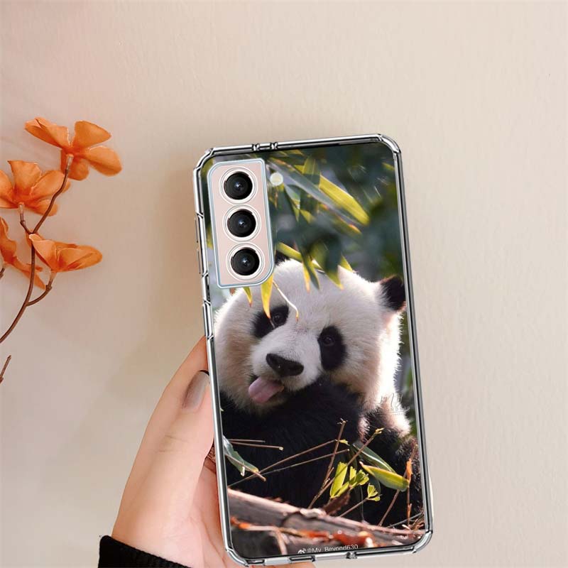 Panda Baby, Giant Panda Family Clear Phone Cases for Samsung S26 Ultra Galaxy S25 Edge S24 S23 FE S21 Plus S20 S22 S10 Cover Pat