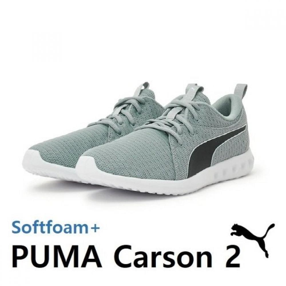 Мужская обувь для ходьбы Puma S Softform carSon2 C 14/290