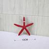 Middellandse Zee Zeester Hanger Muurornament