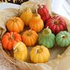 Halloween Pumpkin Shape Festive Atmosphere Aromatherapy Pastoral Style Smokeless Candles Gift Multicolor