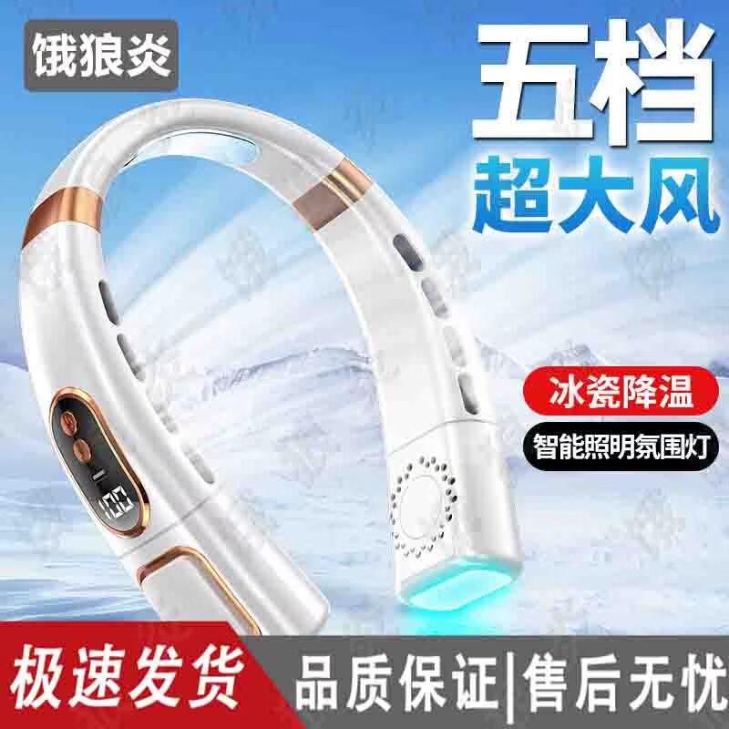 Portable Leafless Turbine Neck Fan