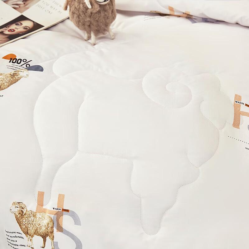 Tangna Home Graphene Wool Quilt