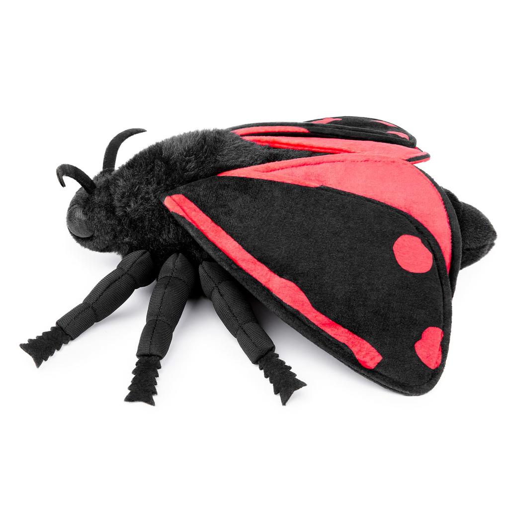 A small stuffed cinnabar moth with blue wings