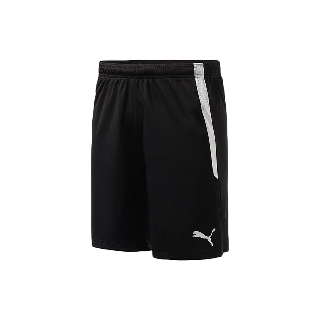 PUMA Team Liga Shorts Black Men s 704924-03 XL