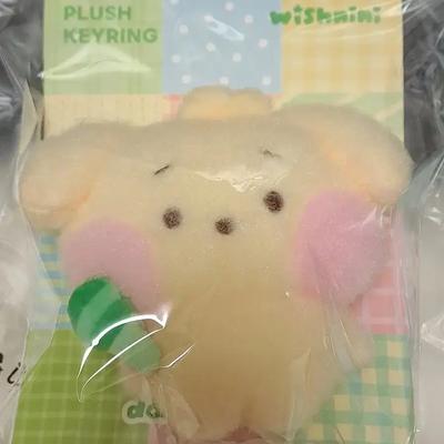 NCT (sealed Wish Jaehee Line Friends Daengtrinny Keyring